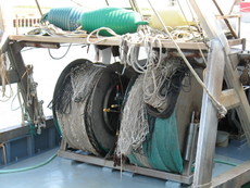 Italien Venetien Marano Lagunare 005.JPG